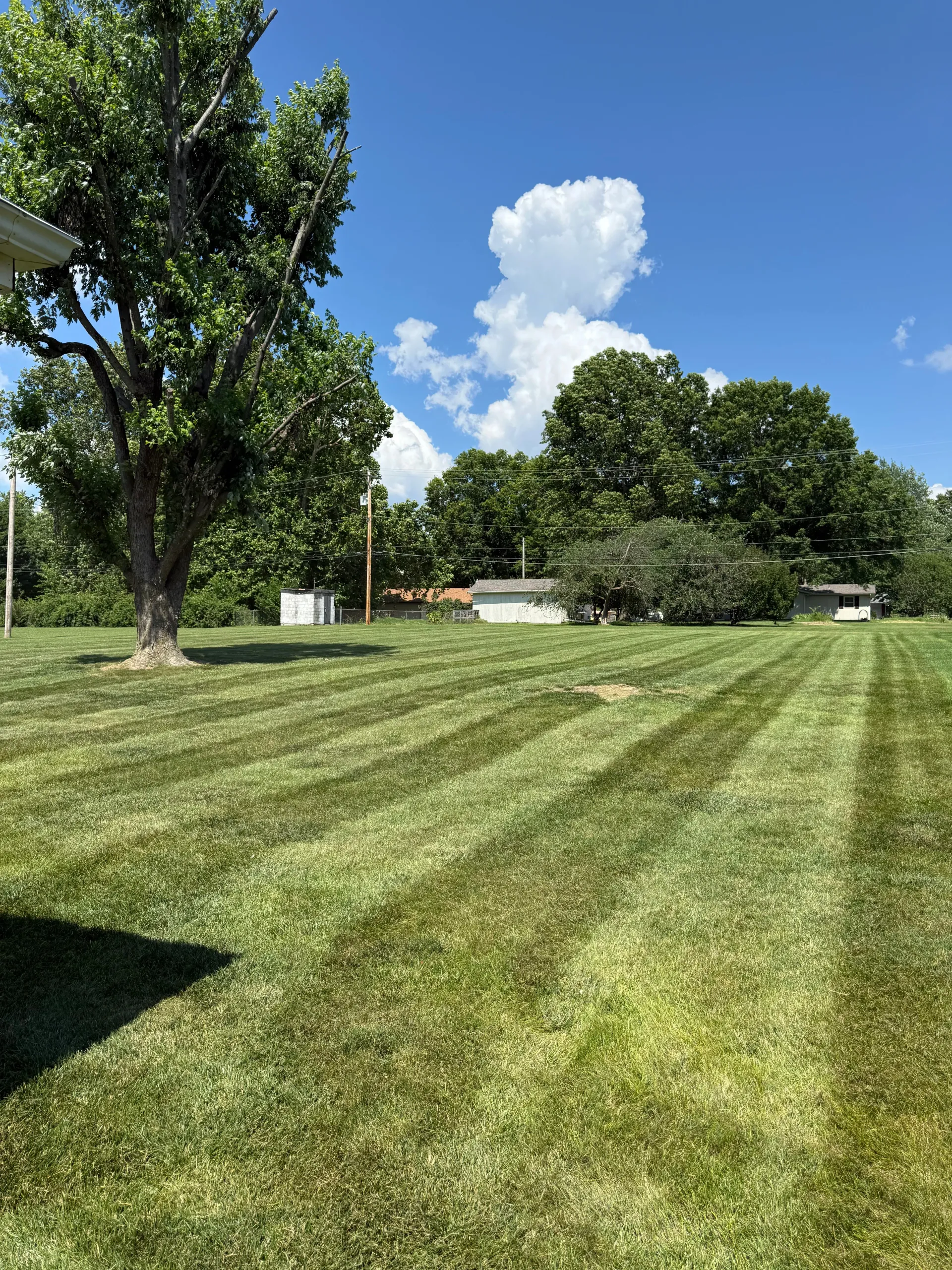 A large, freshly mown lawn with striped patterns  in springfield mo