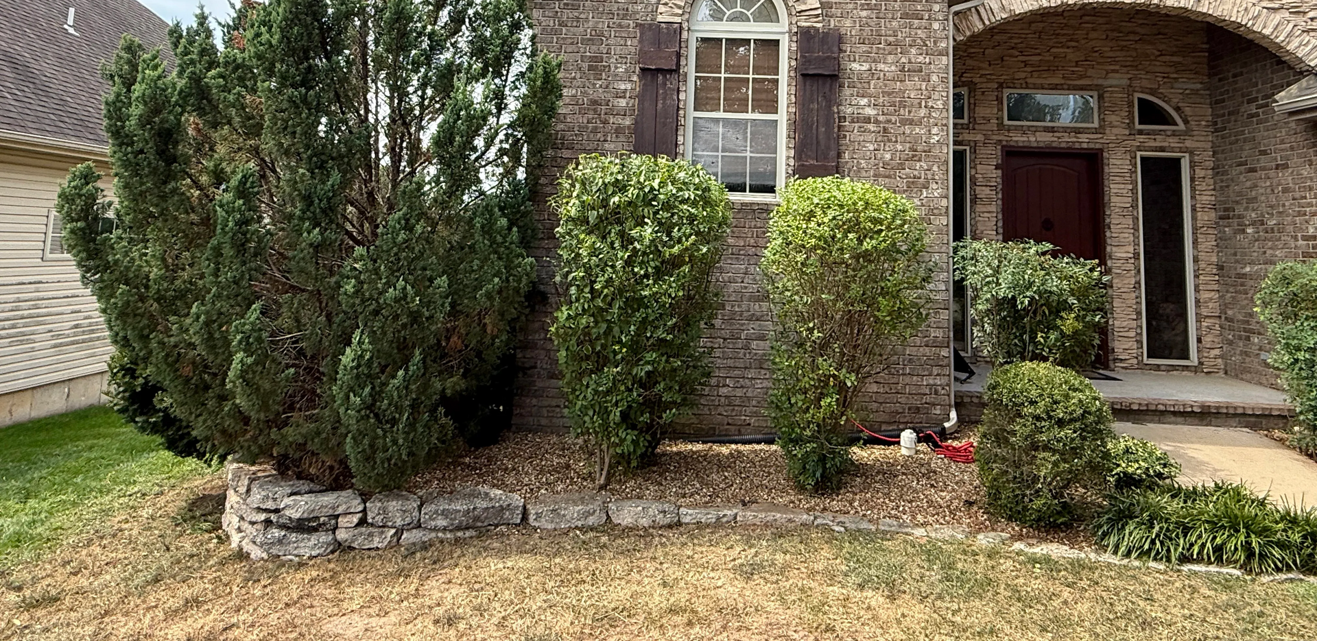A brick house facade with landscaping featuring a large evergreen shrub and smaller bushes in a stone-bordered bed in nixa mo