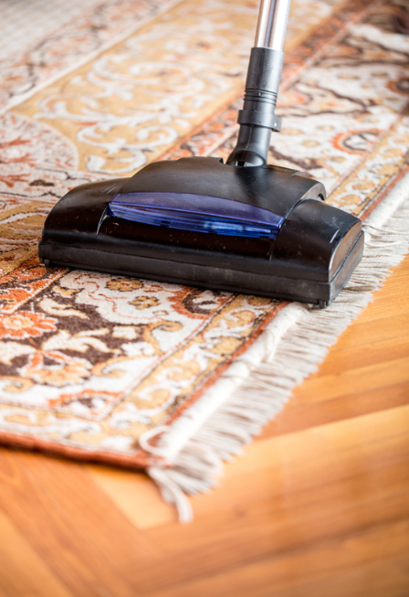 Vacuum cleaner head cleaning a patterned rug on a hardwood floor