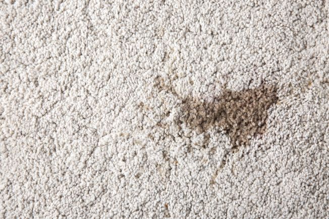Close-up of a light beige textured carpet with a small brown stain near the center-right.