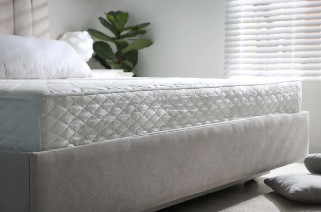 Bright bedroom with a white quilted bed, plant, and window blinds