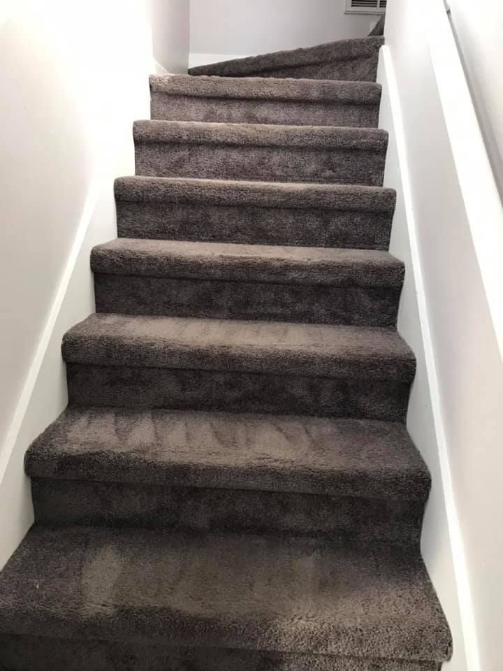Clean Carpet | Lutz, FL | Our Clean Home