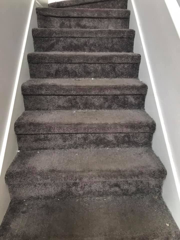 Dirty Carpet | Lutz, FL | Our Clean Home