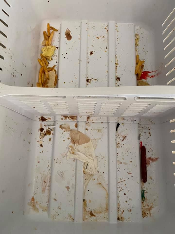 Dirty Fridge | Lutz, FL | Our Clean Home
