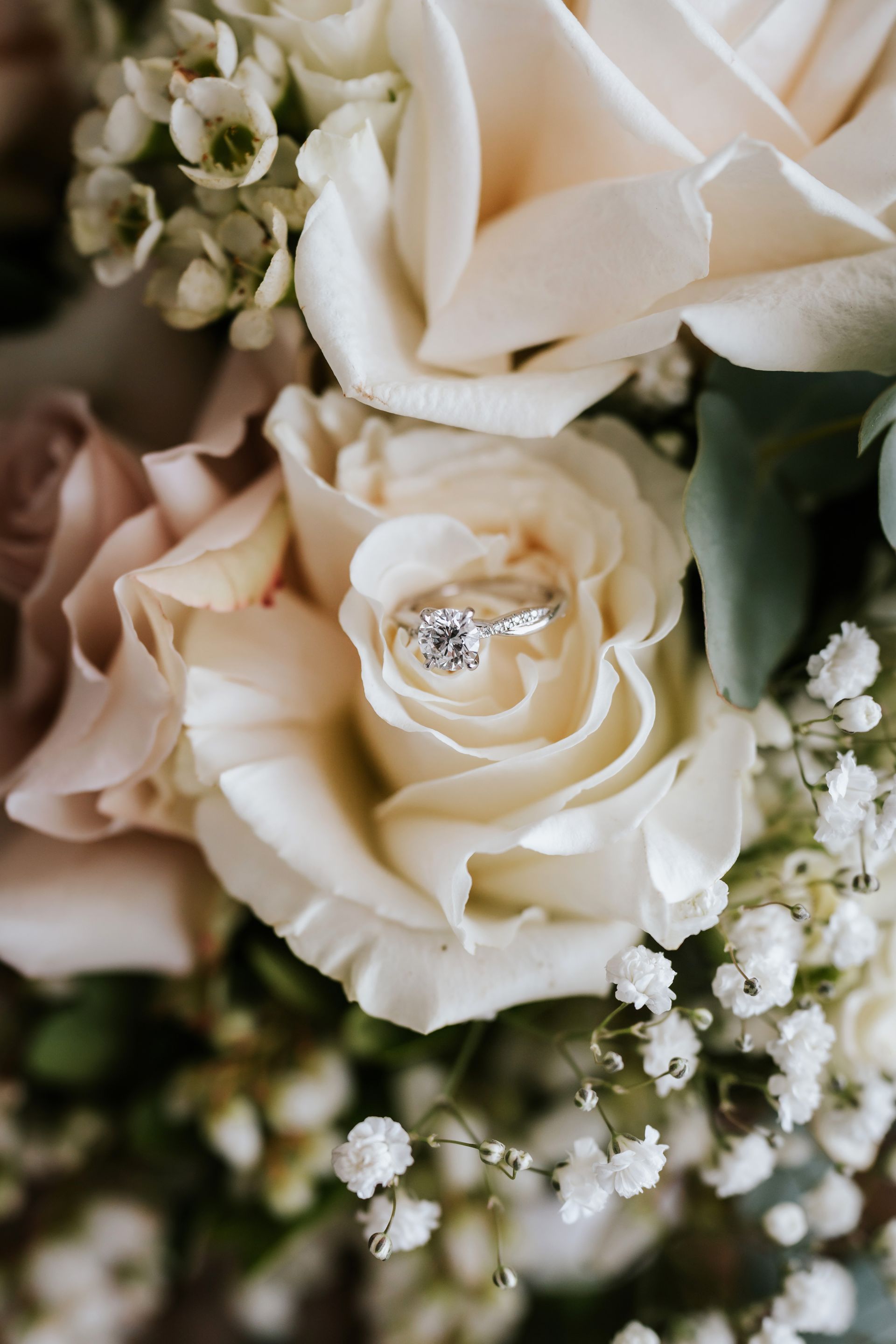 Cream roses with a diamond ring in the center, surrounded by baby's breath flowers.