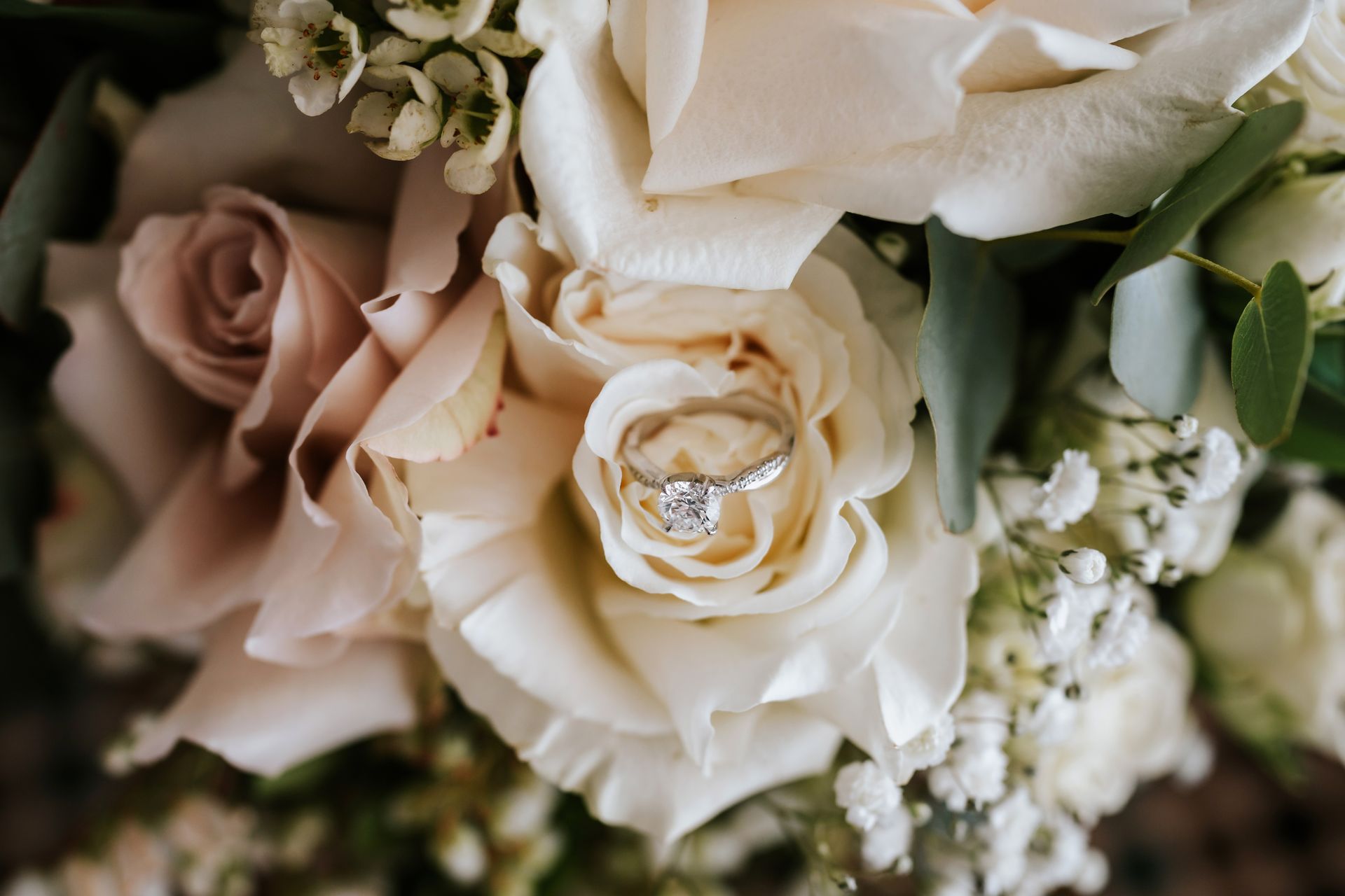 Cream and blush roses with white baby's breath in a soft bouquet close-up