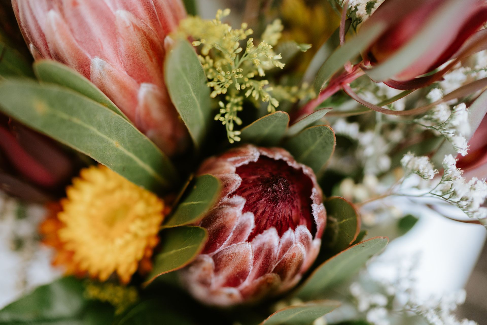Close-up of a floral bouquet with red protea, yellow pompom flowers, and green leaves