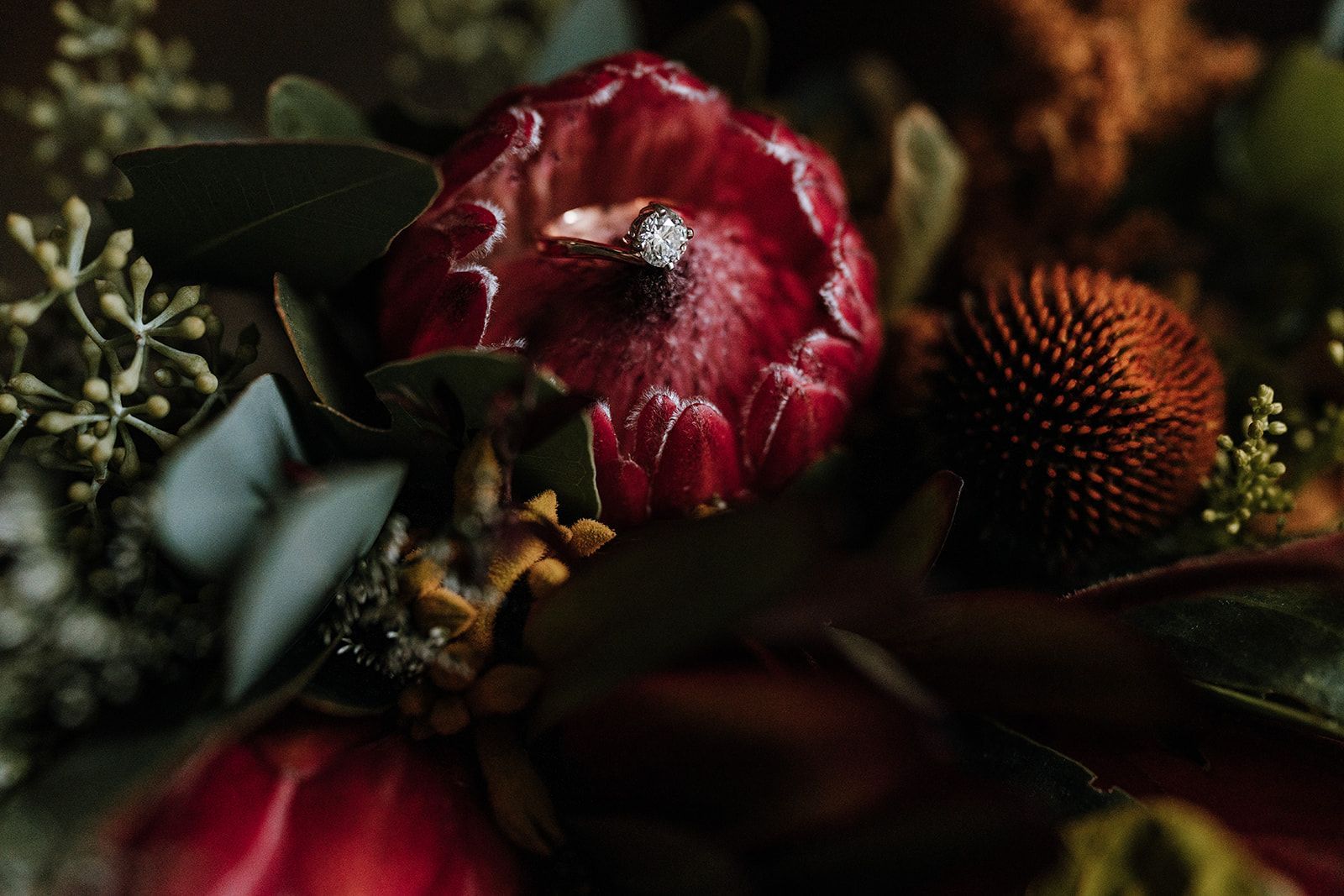 Dark floral arrangement with a red protea bloom and orange seed pod against green leaves