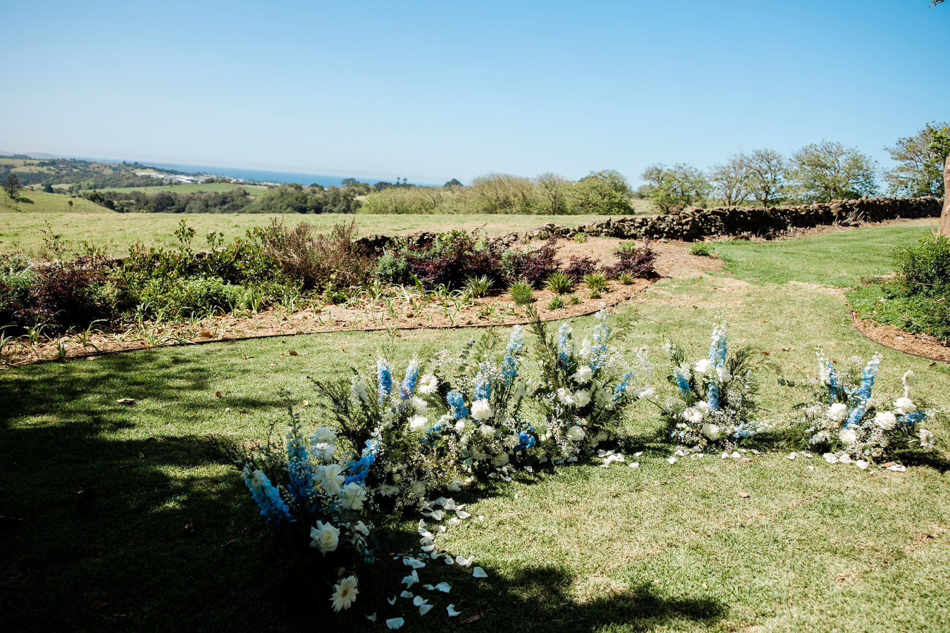 Blue and white flowers in a sunny grassy field with open countryside and blue sky
