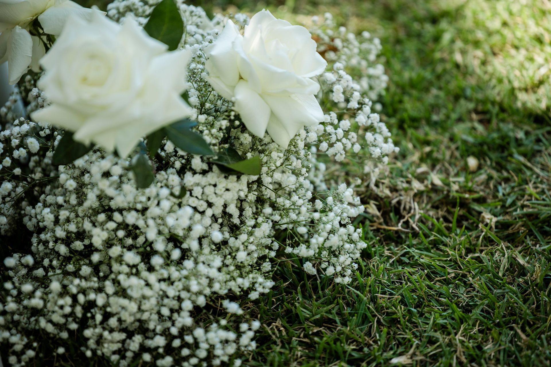 White roses and baby's breath on green grass outdoors