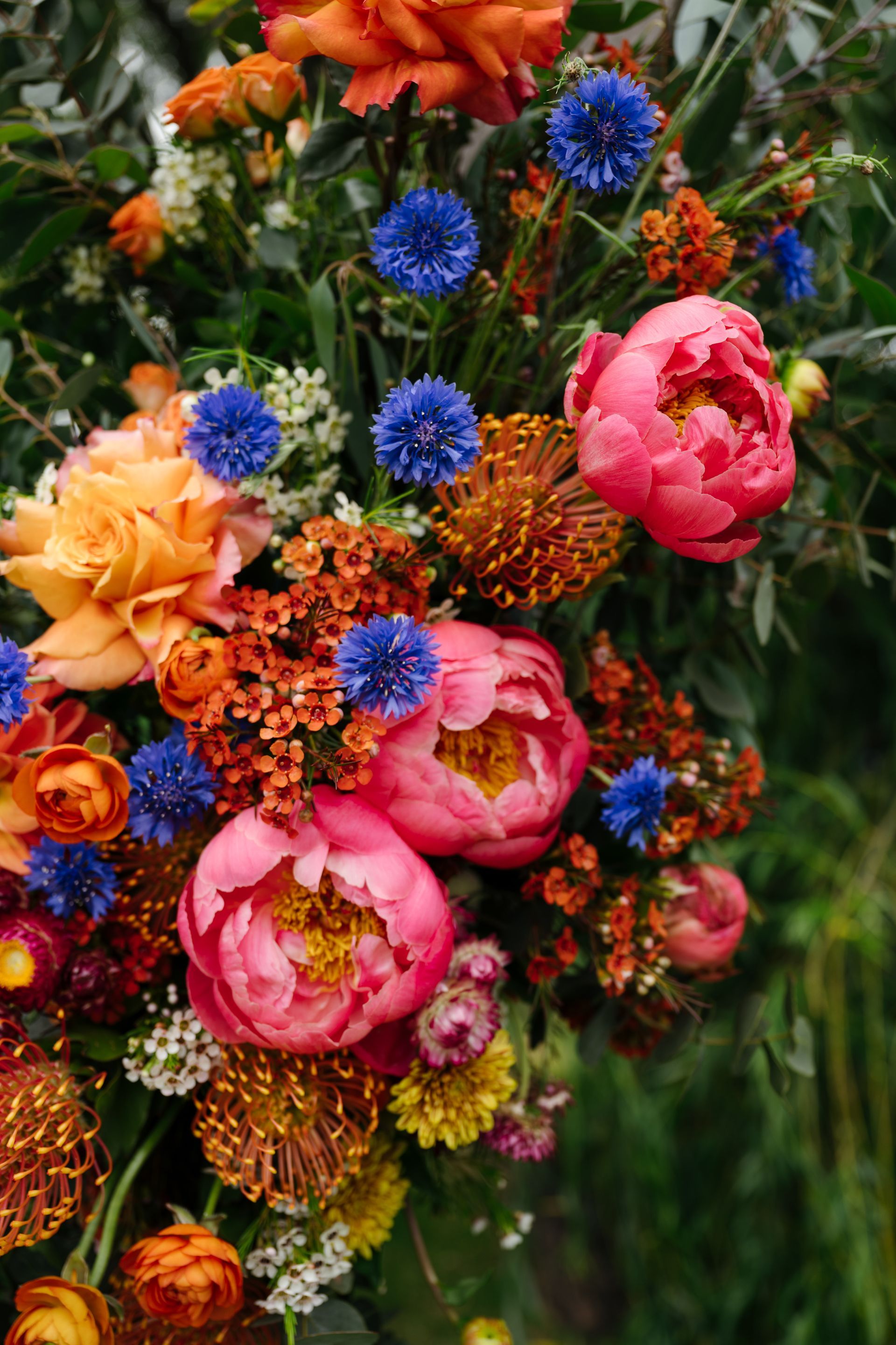 Colorful floral bouquet with pink, orange, and blue flowers against green foliage