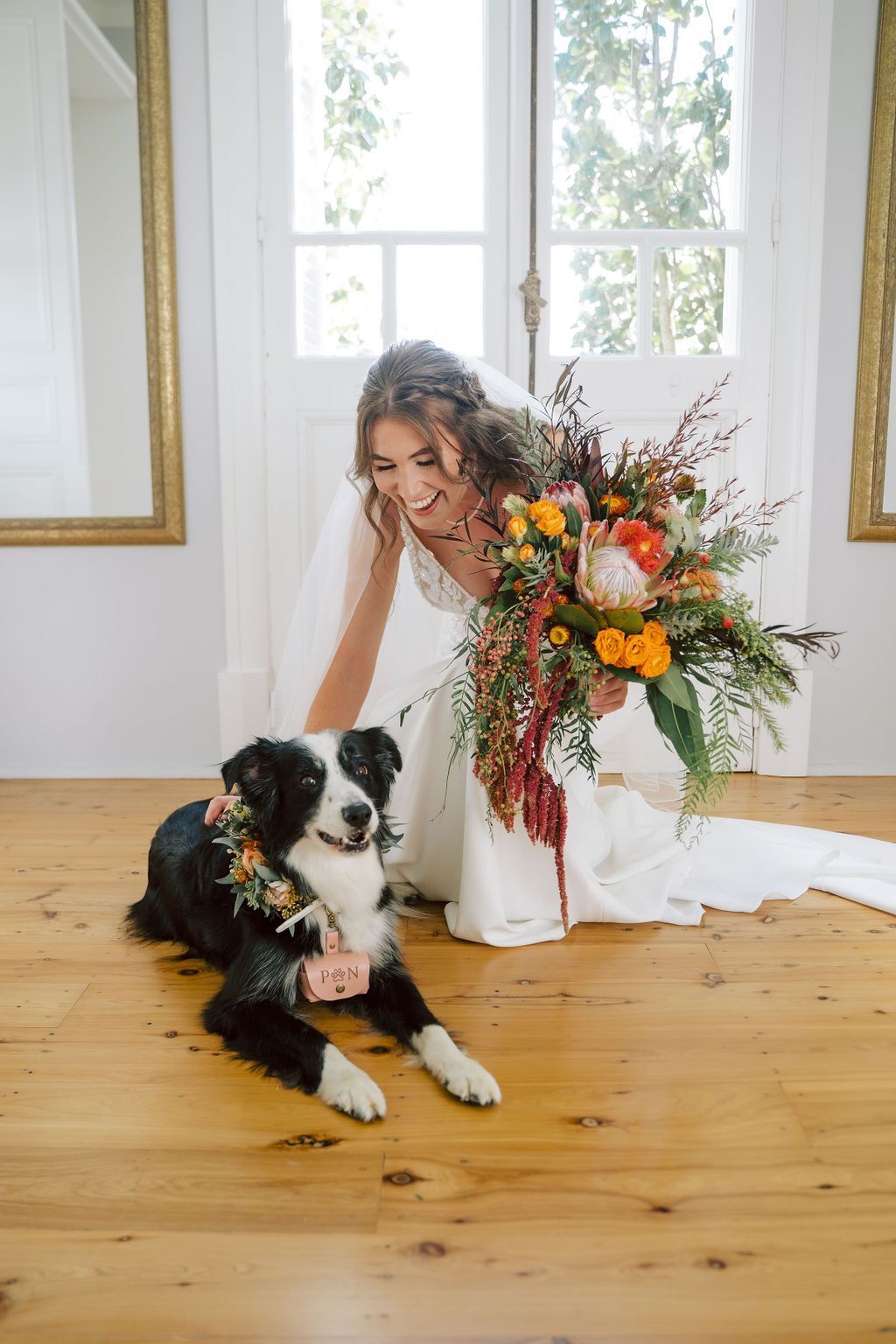 Bride kneels on a wooden floor beside a black-and-white dog, holding a colorful bouquet by bright windows.