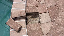 Almost Finish Pavement — Jacksonville FL — Paver Protections LLC