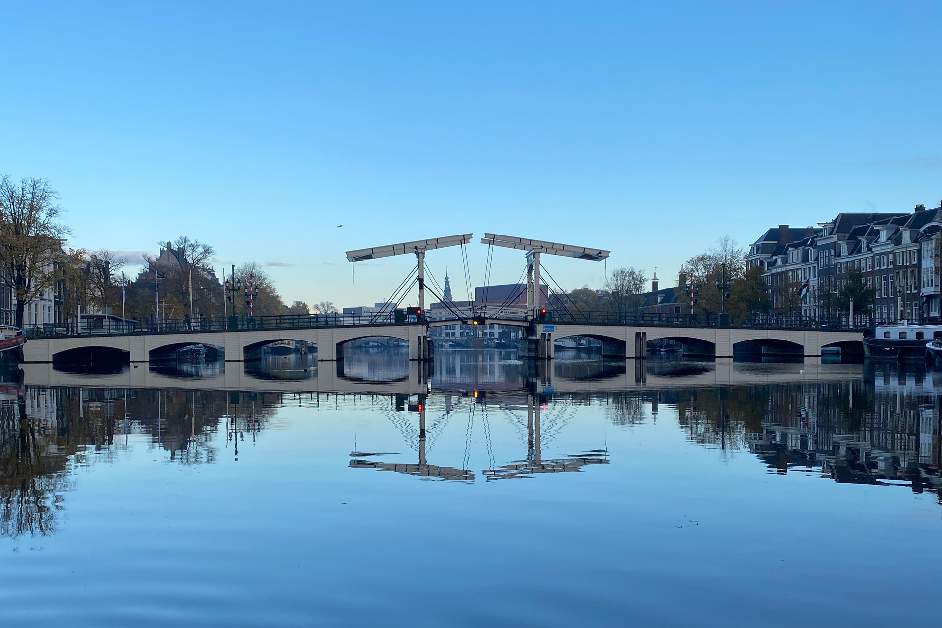 The Early Morning Cruise