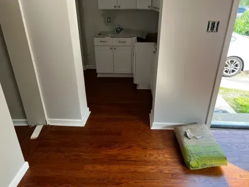A dog is sitting on a pillow in a room with hardwood floors.