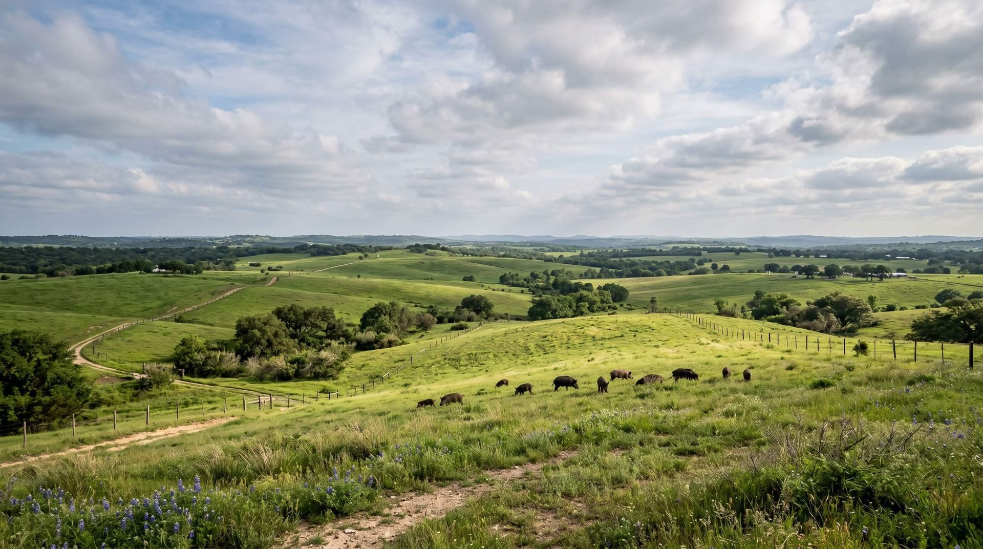 Beautiful landscape with acres of private hunting land for hog hunting