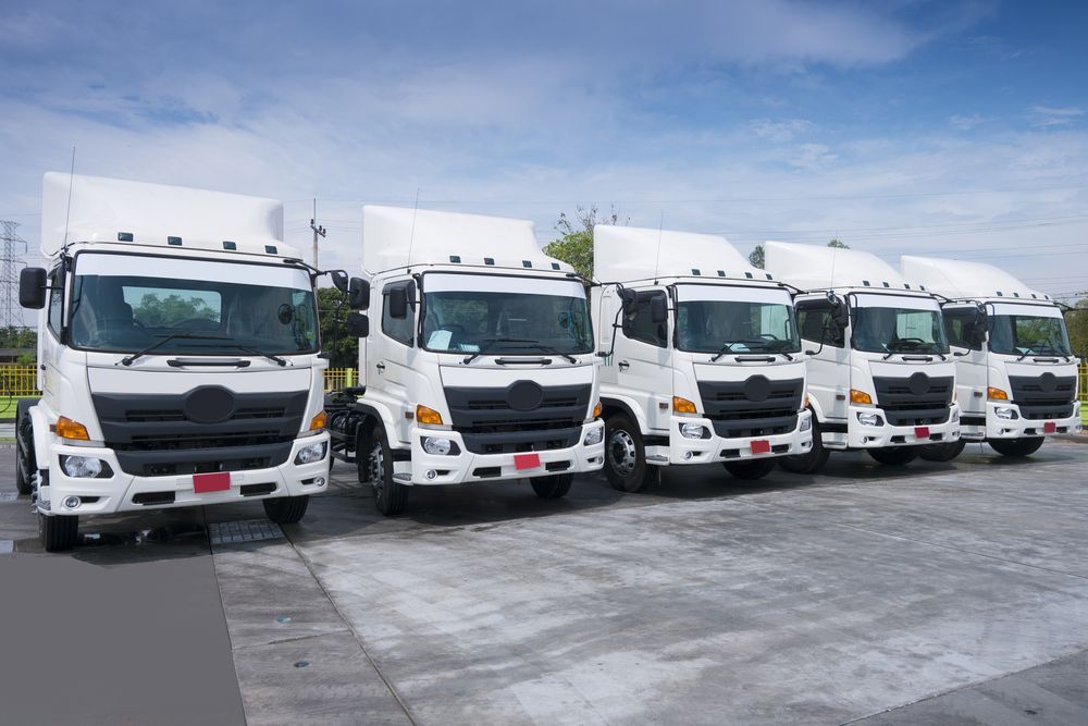 Six white Delivery Trucks Parked in a Row — Mission Truck Training in Caloundra, QLD