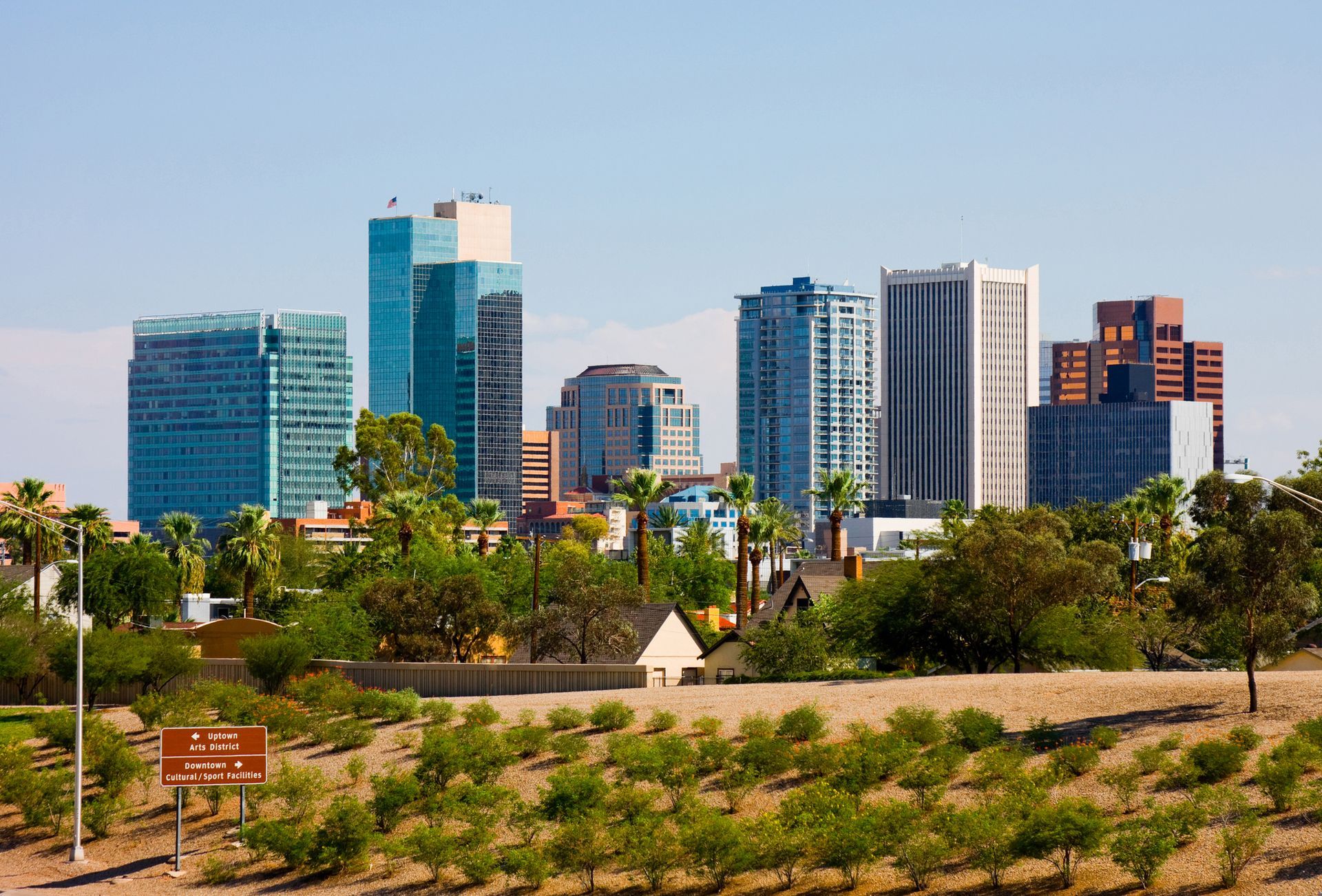 A city skyline with a park in the foreground