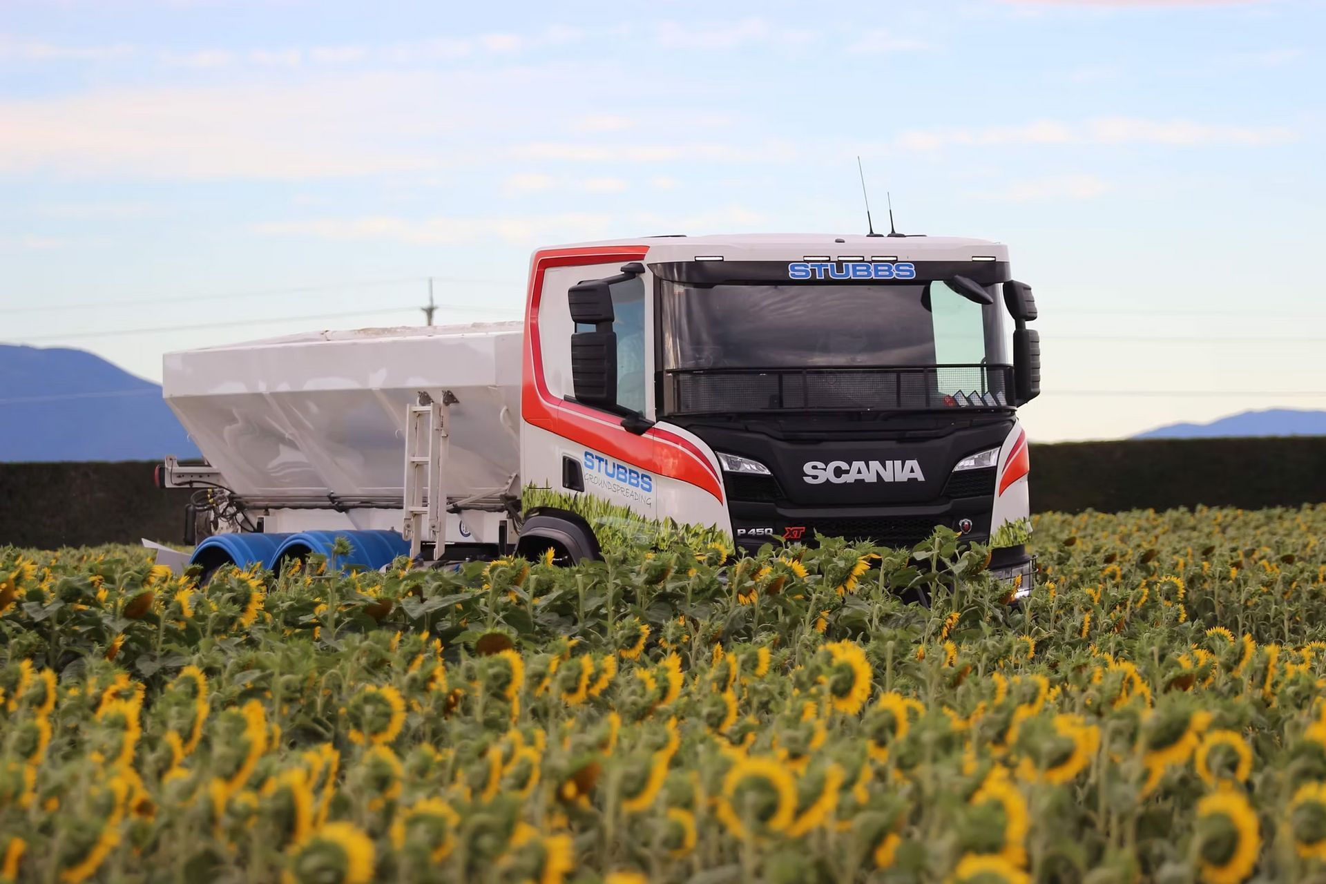Scania truck driving through a sunflower field under a bright sky