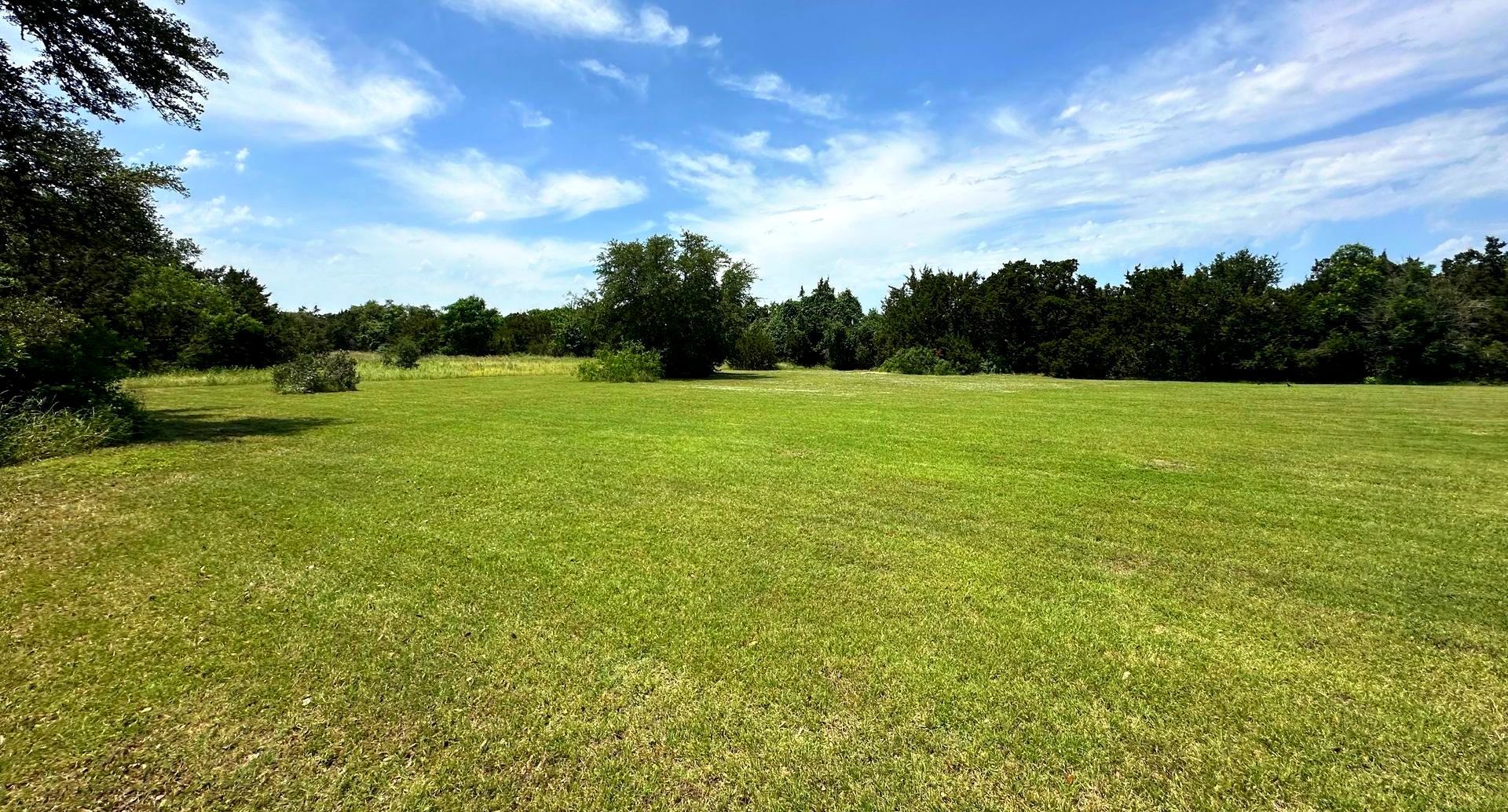 A large grassy field with trees in the background on a sunny day.