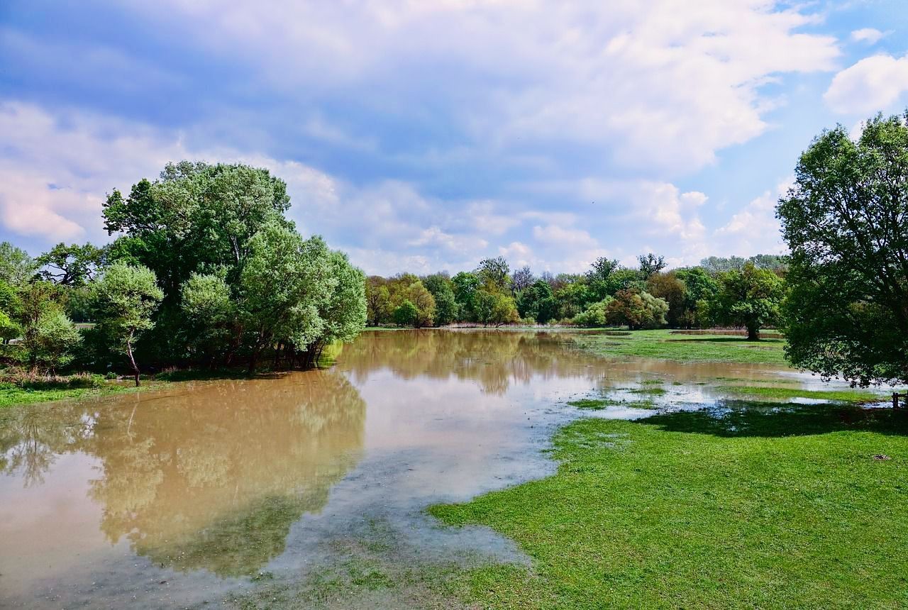 A flooded river surrounded by trees and grass on a sunny day. Poor drainage and flooding on natural