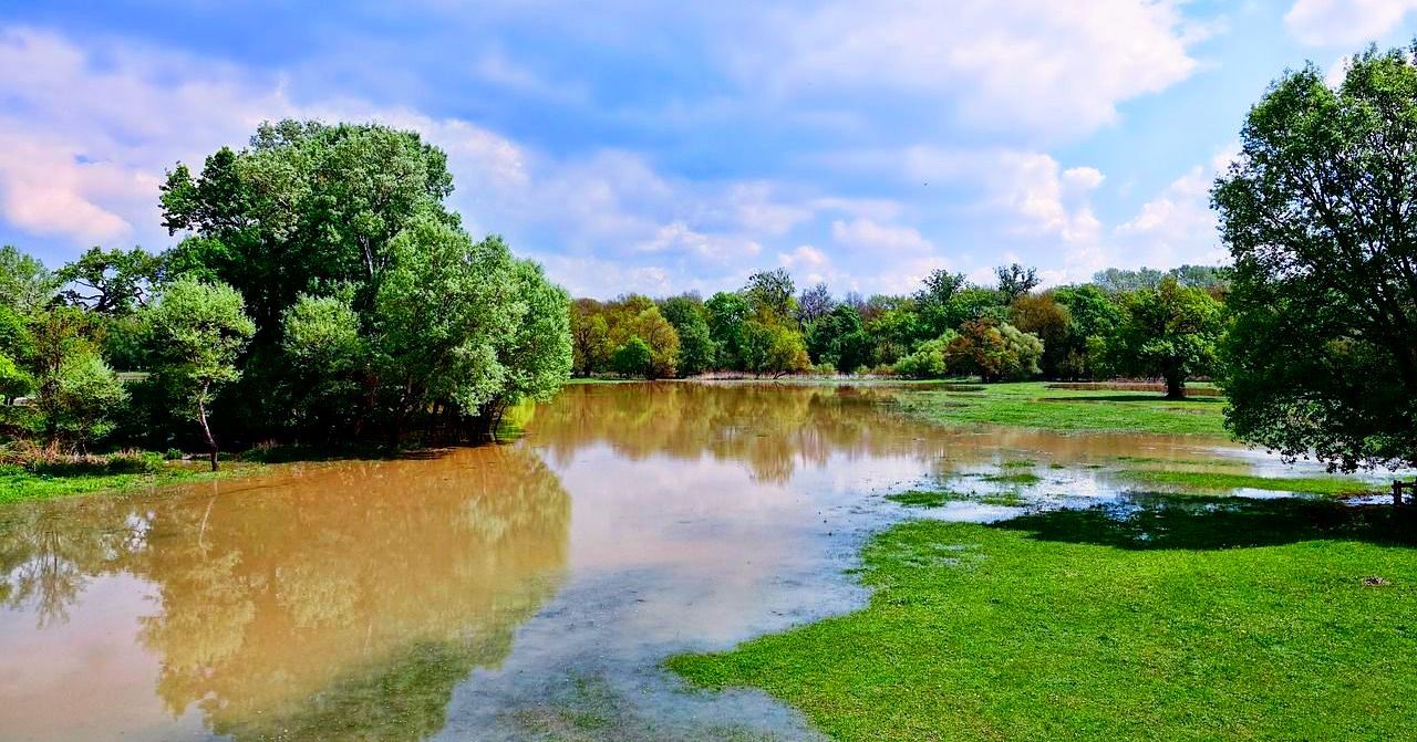 A flooded river surrounded by trees and grass on a sunny day.