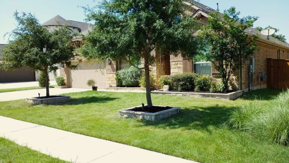 A house with a lush green lawn and trees in front of it.