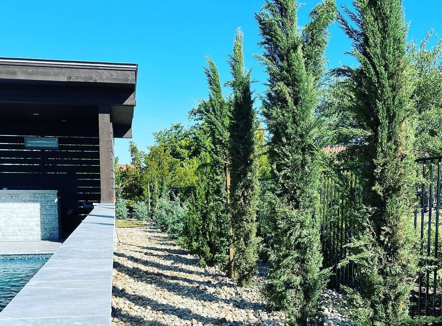 A house with a pool and trees in front of it