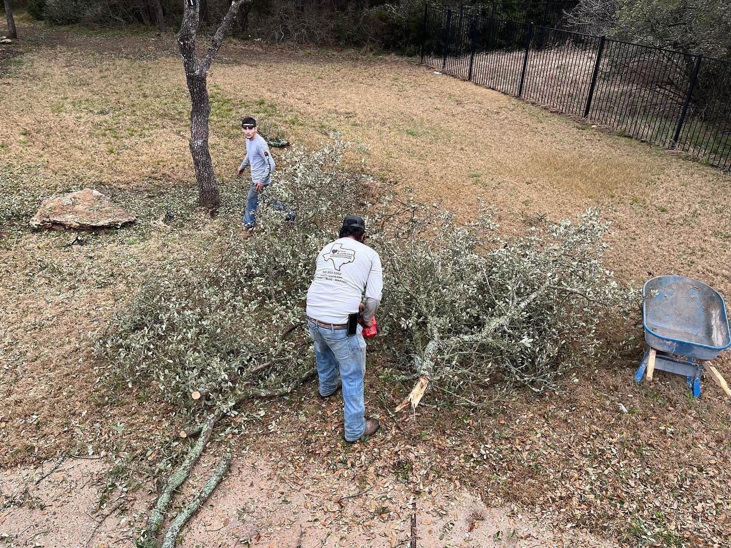 Two men are cutting trees in a backyard.