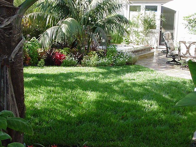 Sunny garden with lush green lawn, palm tree, flowering shrubs, and a white patio with chairs
