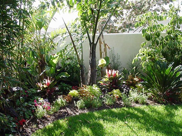 Lush tropical garden with colorful plants, trees, and bright green lawn beside a white wall