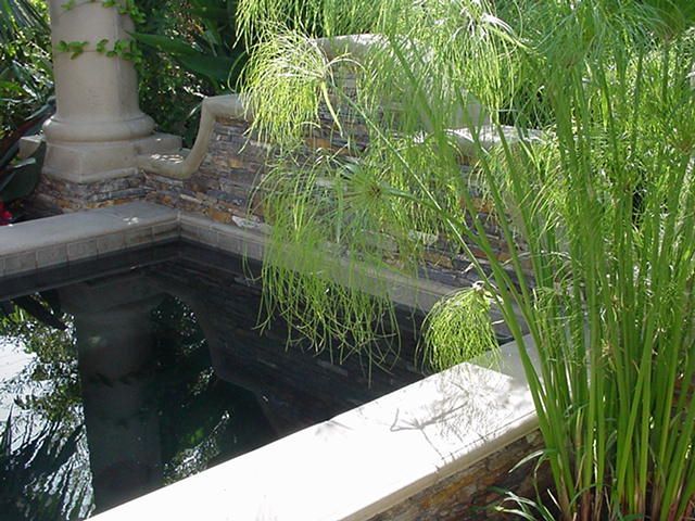 Small garden pond with dark water, white stone edging, and tall green reeds beside a columned courtyard