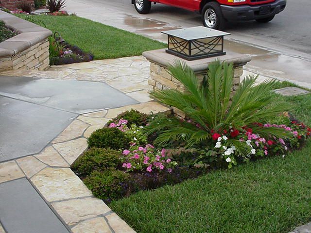 Front yard landscaping with a palm-like plant, pink flowers, stone walkway, and parked red car by the street