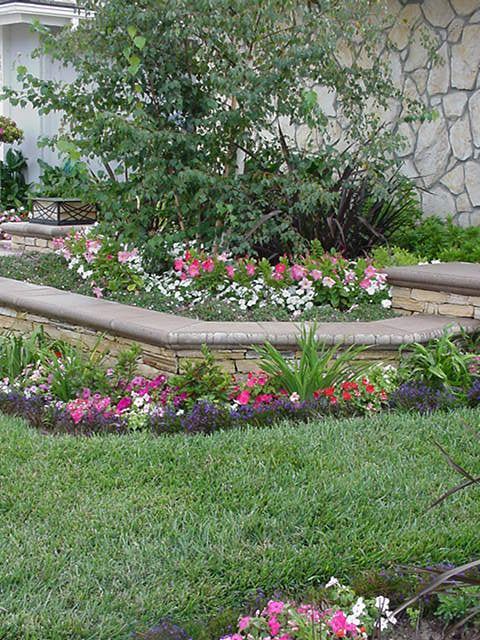 Flower bed with pink and white blooms around a small tree beside a lawn and stone edging