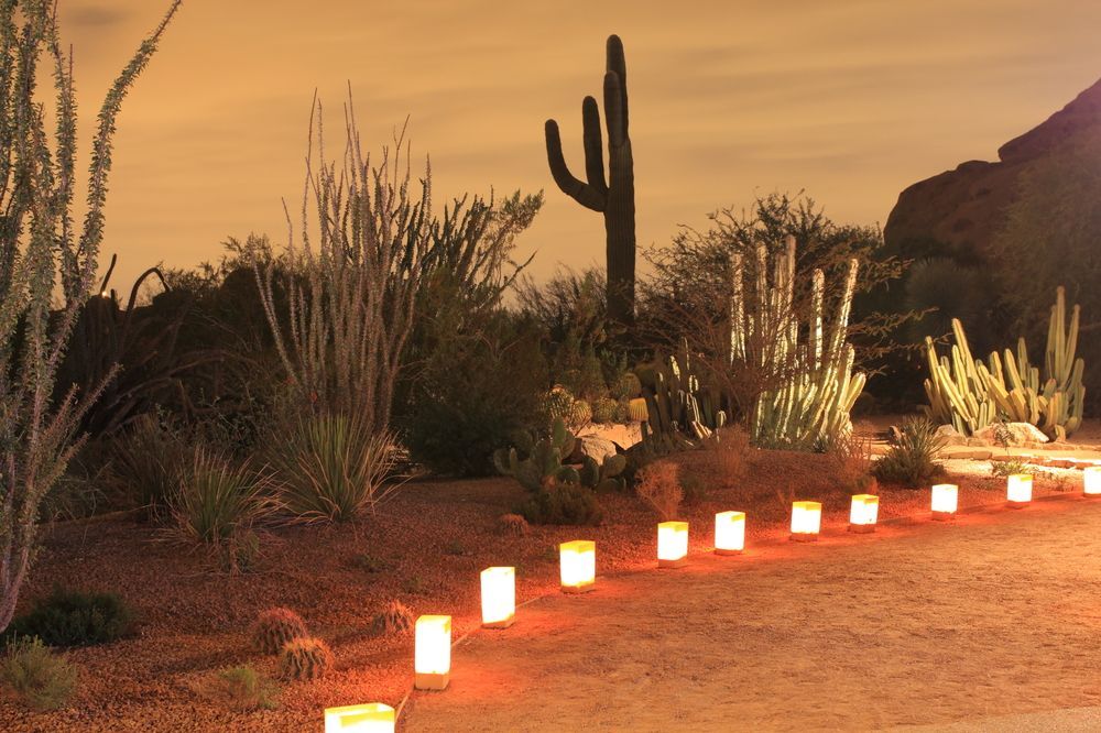 Desert path lined with glowing lanterns at dusk, with cacti and shrubs silhouetted against an orange sky