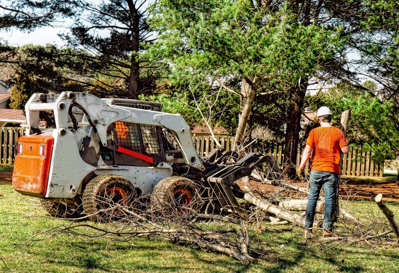 Skid steer loader and worker clearing fallen tree branches in a grassy yard.