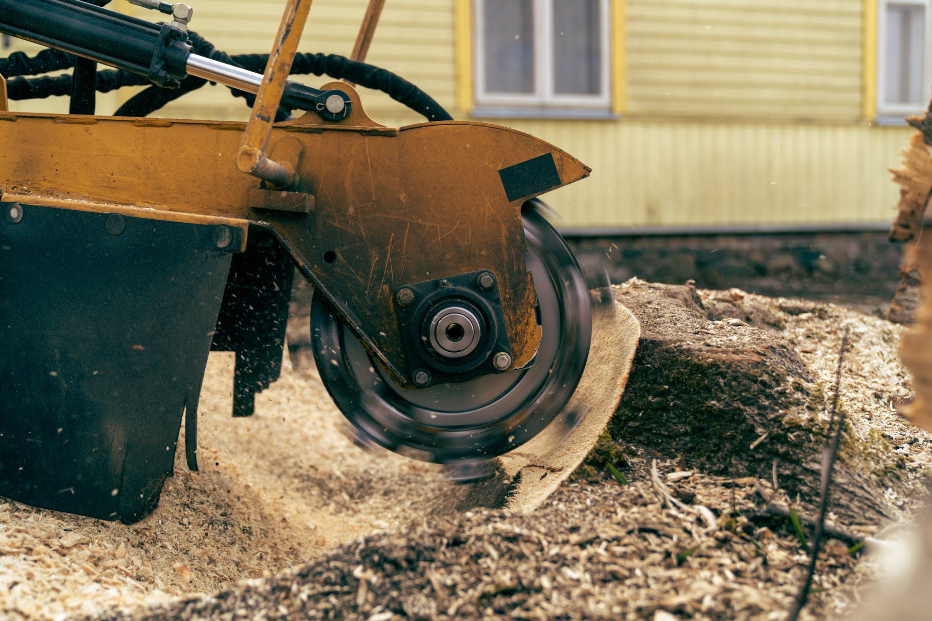 A stump grinder with a spinning blade grinding wood into sawdust near a building.