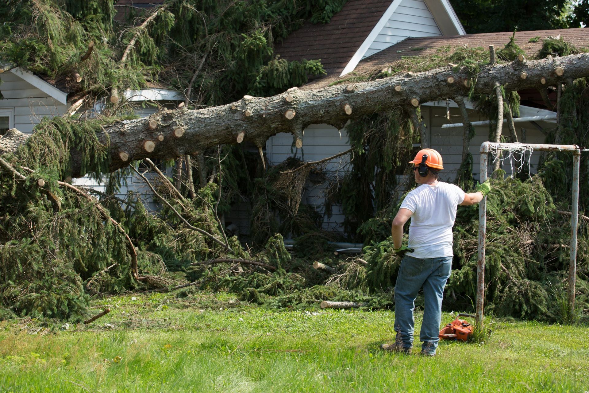 A person wearing a hard hat stands in a yard looking at a large evergreen tree that has fallen onto the roof of a house.