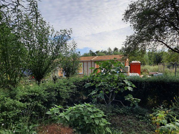 Natuurtuin-Rijswijk-Wilhelminapark-centrum