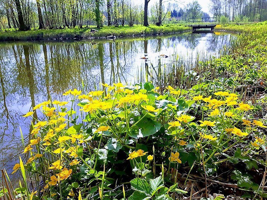 Natuurtuin-Rijswijk-Wilhelminapark-educatie