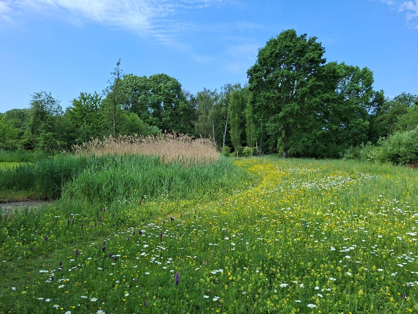 Open-dag-Natuurtuin-Rijswijk-12-juli