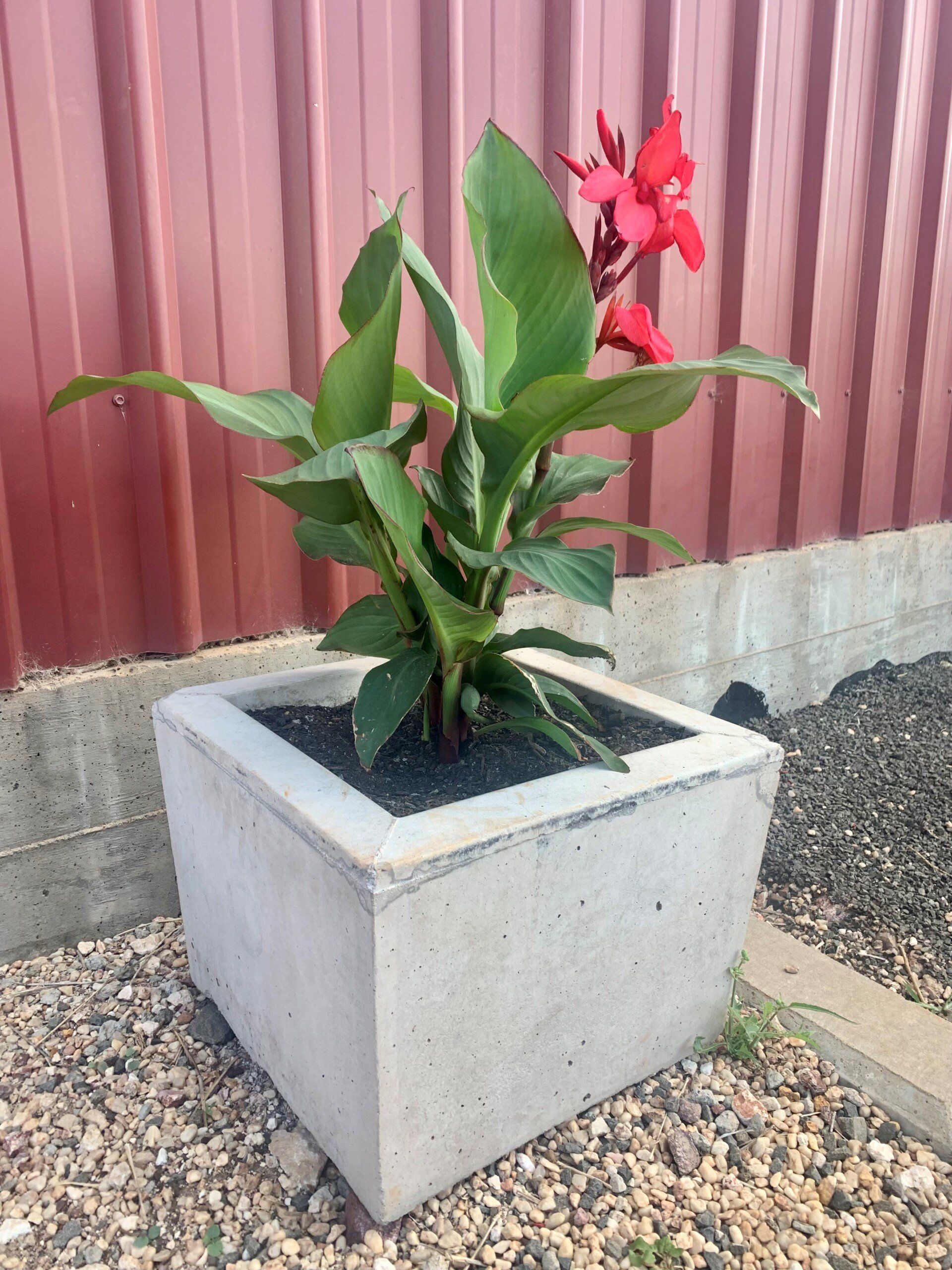 Planter pot