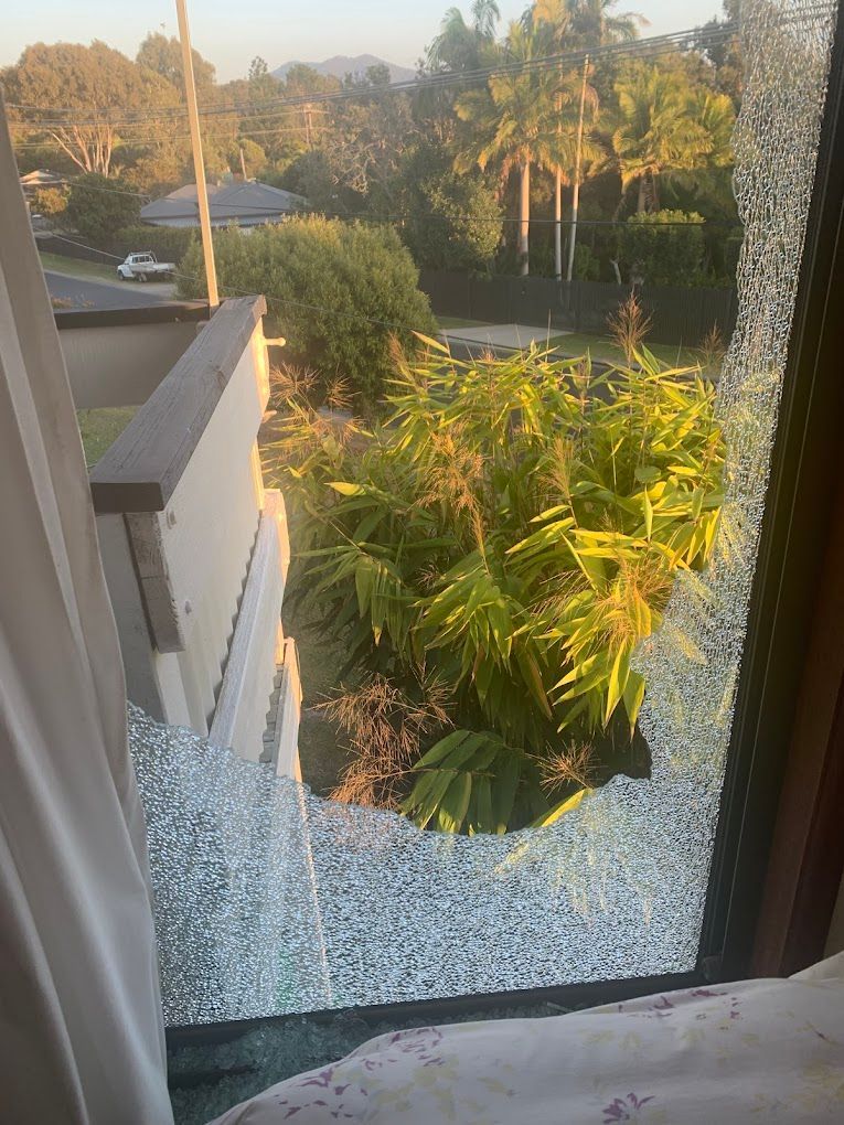 View from a cracked window onto a sunlit garden with palm trees and greenery at sunset