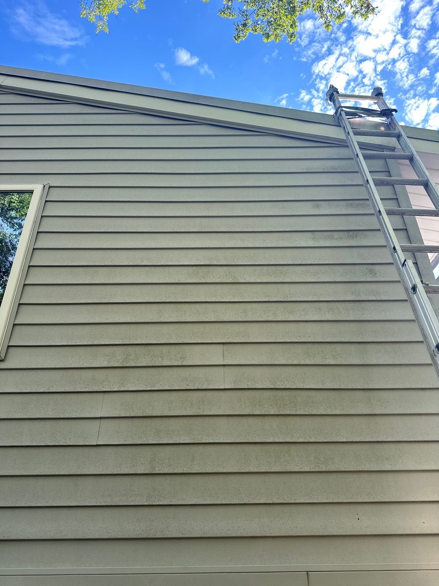 Before House Washing