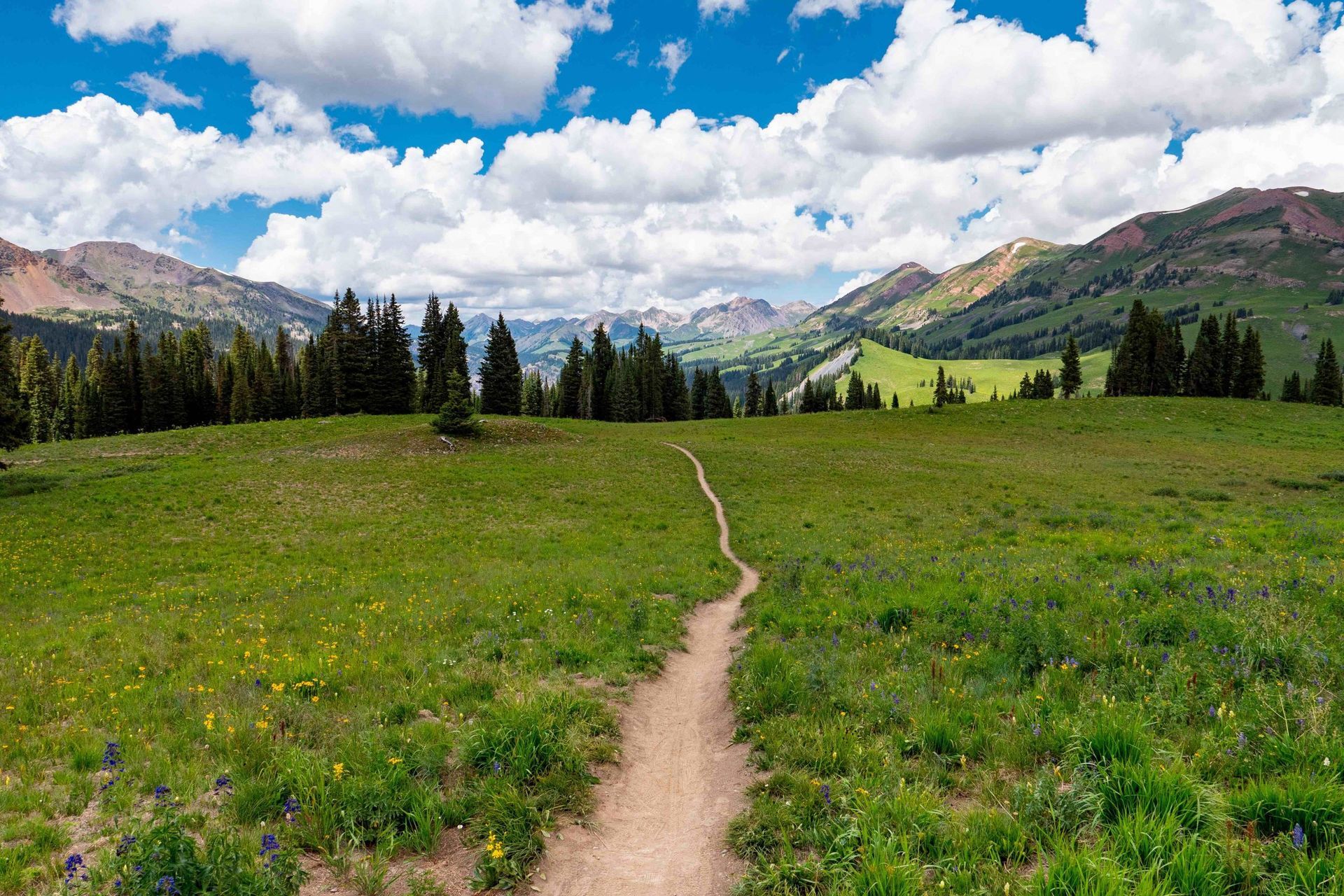 A dirt path winds through a green meadow towards mountains under a blue sky with fluffy clouds.