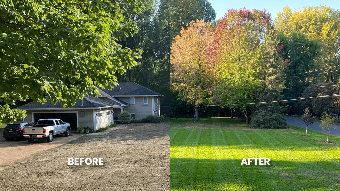 before and after of a project we aerated and overseeded a lawn in Eden Prairie