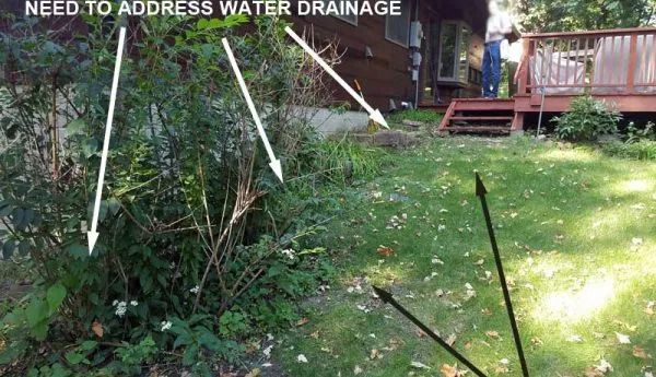 Backyard with overgrown bushes, grass, and a deck. Text indicates a need to address water drainage.