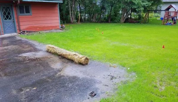 A large log on a driveway, next to green grass and a red building.