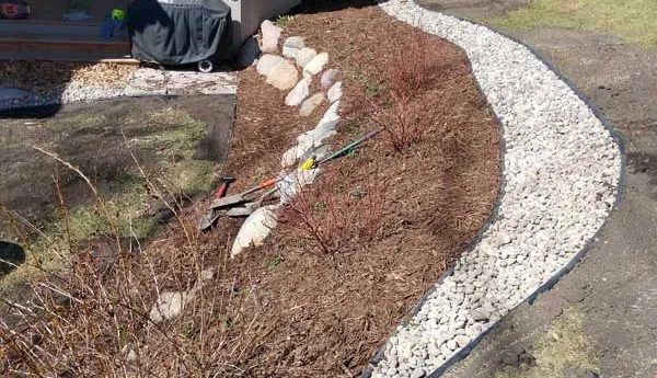 A gardener pruning a shrub in a mulch bed, with stone border and pavement.