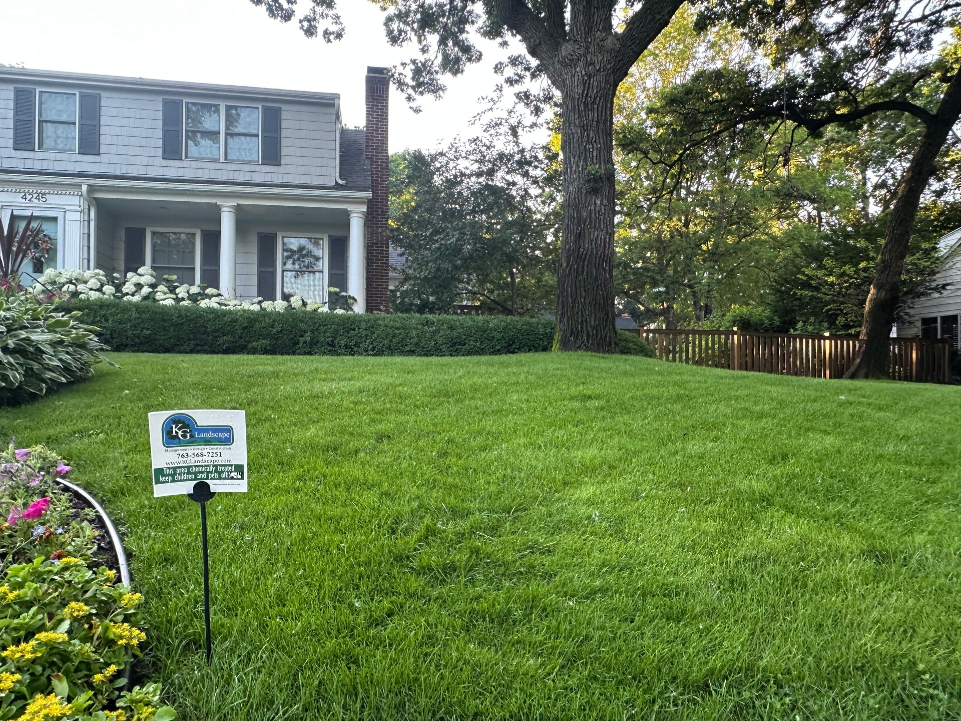 Thick green lawn with nice shrubs and flowers and a KG Landscape fertilizer sign in the grass 